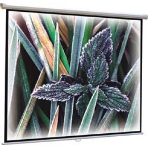 Datalite Wallscreen 70"